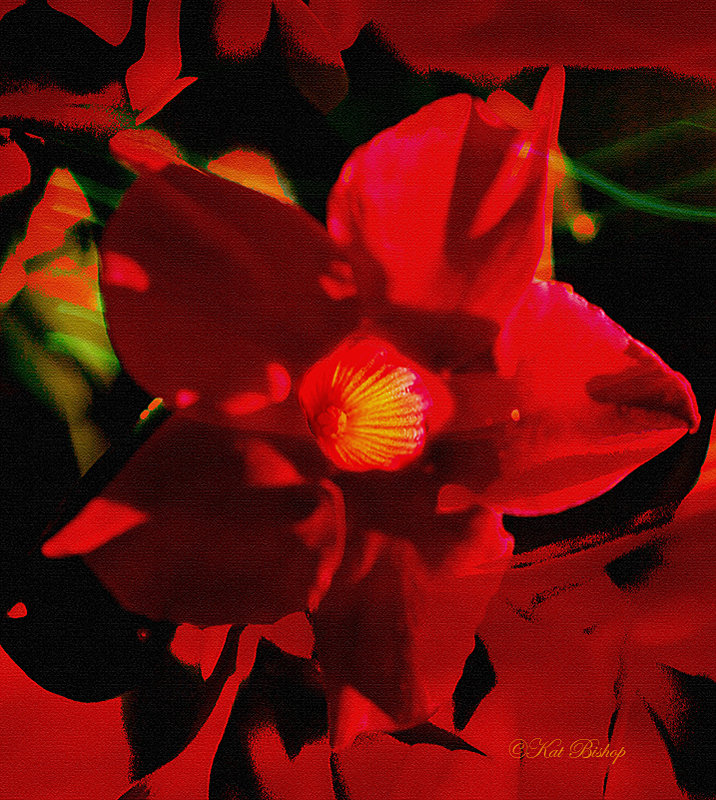 Abstract Flower