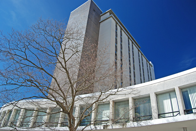 The Towers