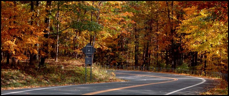 On the way to Treeman Park