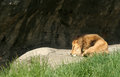 IMG_4223.jpg
