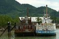 IMG_5436.jpg
