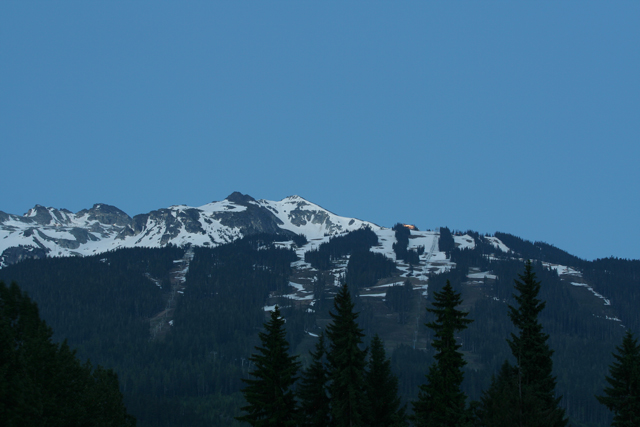 IMG_5411.jpg