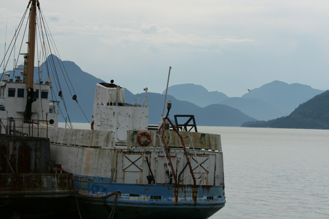 IMG_5428.jpg