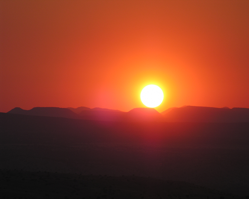 Desert Canopy