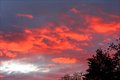 Sunset Palette