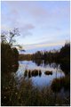 The memories from a pond (color)