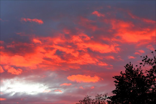 Sunset Palette
