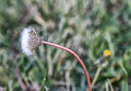 IMG_3465.jpg