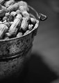 Day-03---Peanuts.jpg