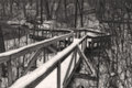 Day-9B-Walkway.jpg