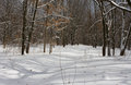 Day-01-original.jpg