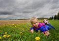 Day 03 - Picking Flowers