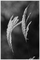 Week 46
