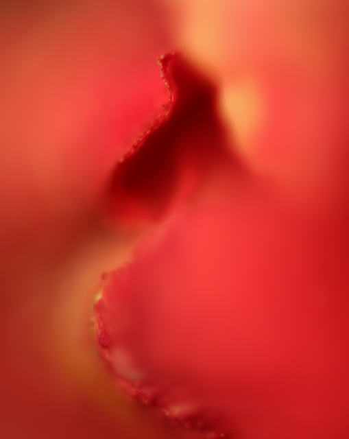 Day-02.jpg