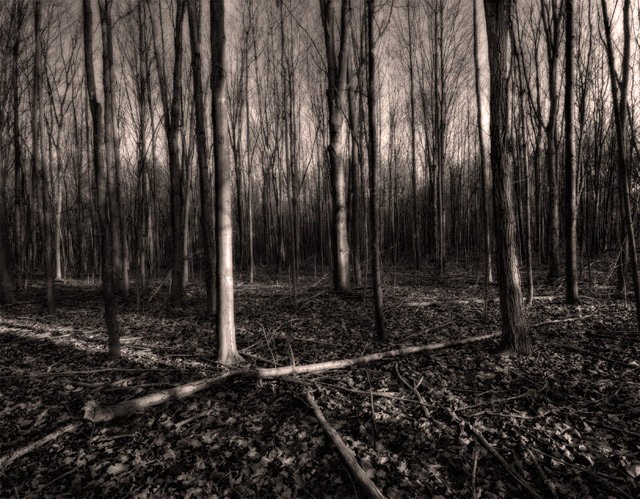 Free Study 2007-11 Outtake.jpg