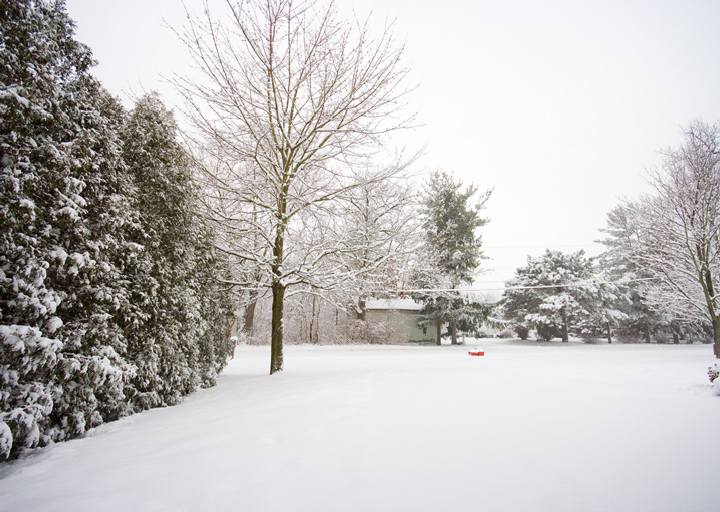 Day 26 - Morning Snow