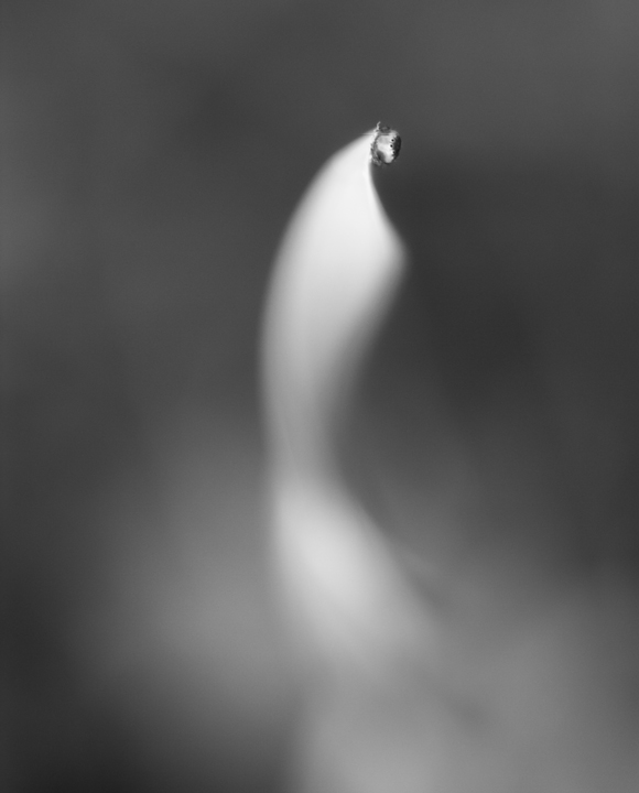 Week 21 - Shallow DOF