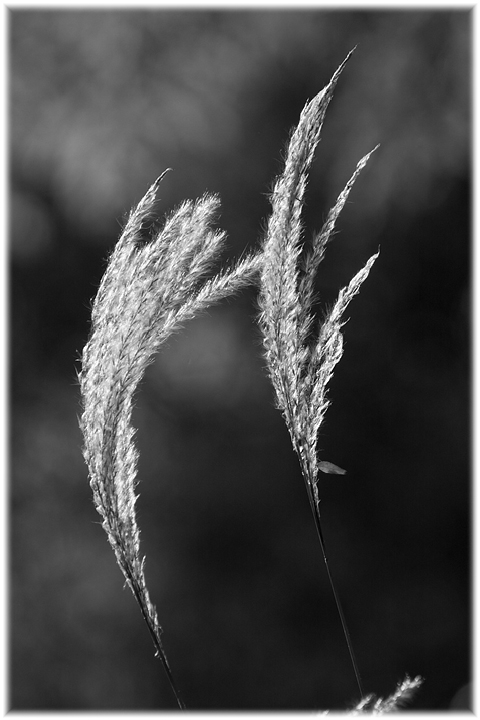 Week 46