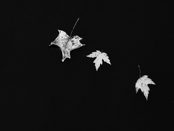 Week 49 - Trio