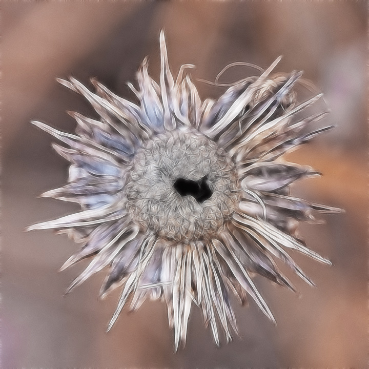 Macro 10