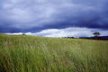 The Field