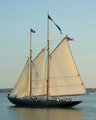 Virginia Schooner