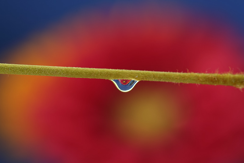 drop