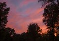 Sunset Beyond The Trees