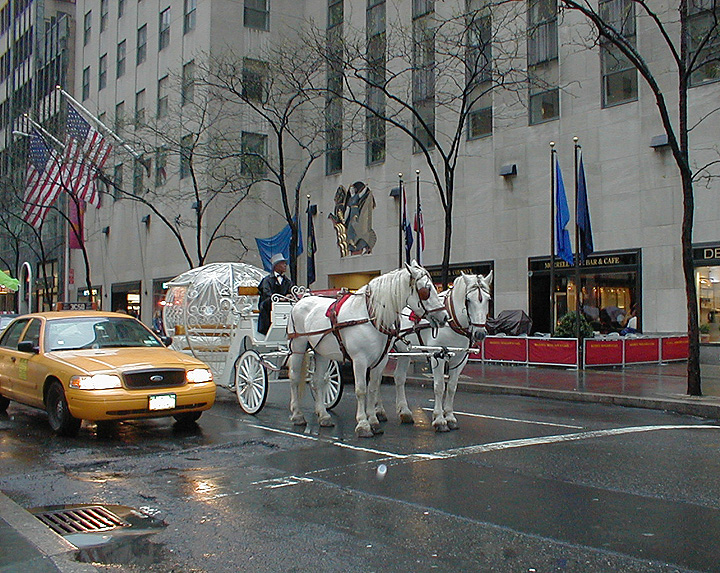 Rainy Day in New York
