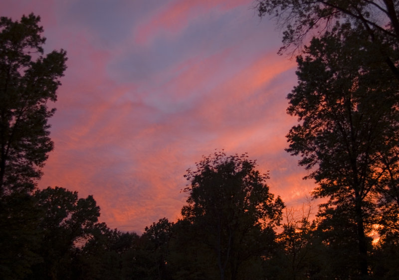 Sunset Beyond The Trees