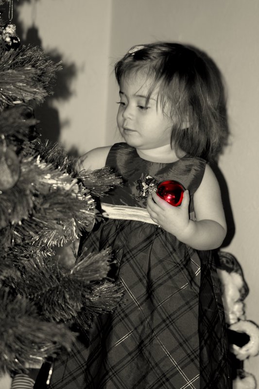 Christmas Dreams