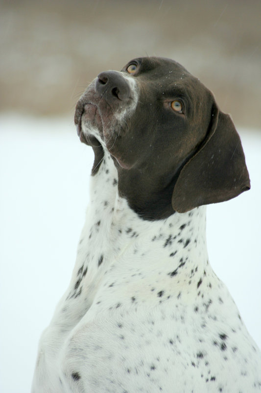 Hunter