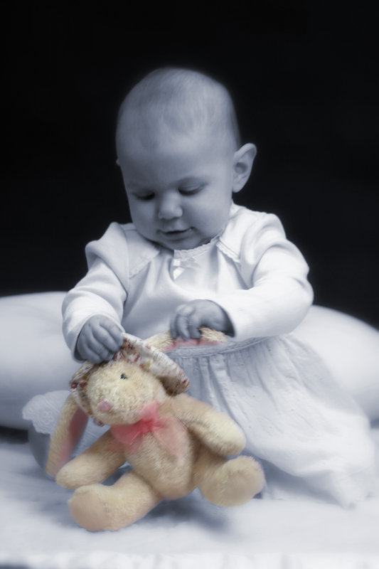 The Bunny