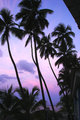 Dawn at Le Marouba