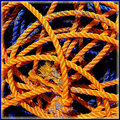 rope1-1_dpc.jpg