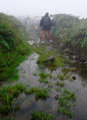 Hiking up Pelee
