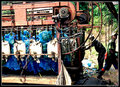 Offloading-Banana Plantation