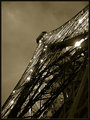 The Eiffel in Sepia