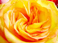 Exquisite layers