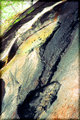 Chasm