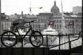 DSC_0064-webs2.jpg
