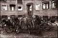 DSC_0203-tri-webs2.jpg