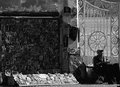 The Many Faces of Istanbul