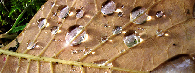 crystals