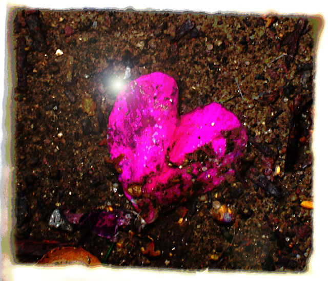 Pink heart bruised