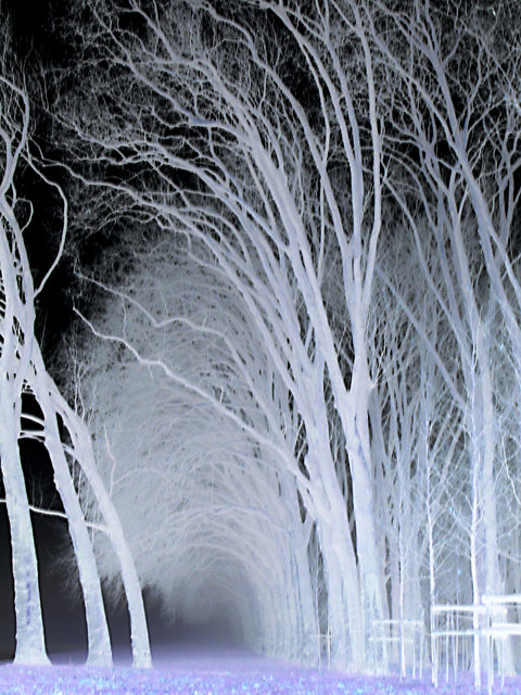 Ghostly