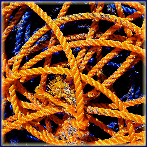 rope1-1_dpc.jpg