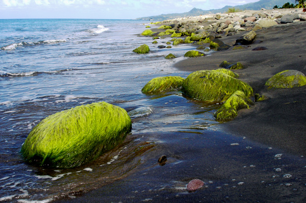 Northwest Martinique