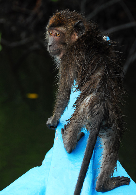 "Now how do I get off this freakin' boat???"
