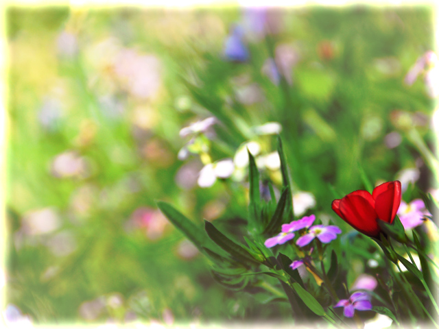 Re-inventing Monet